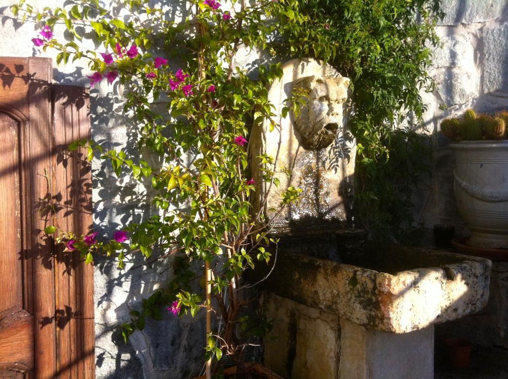 Hotel Les Alizes Cavalaire-sur-Mer Exterior foto